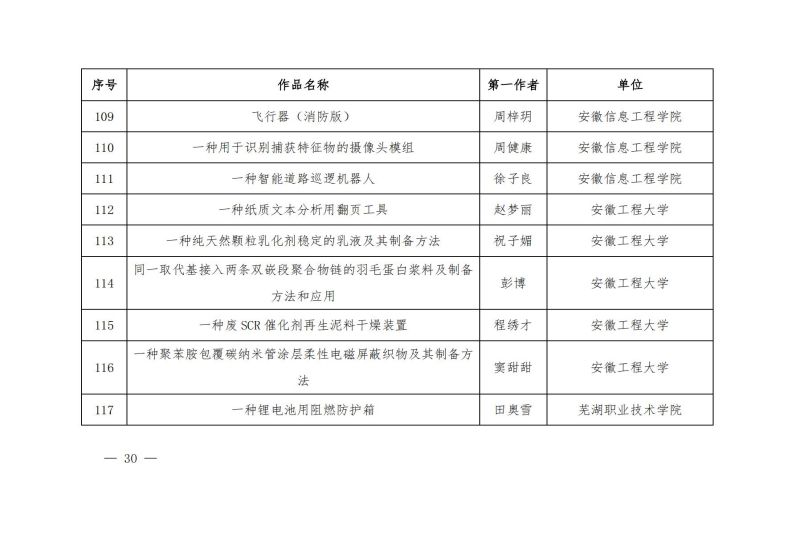 芜专赛委〔2023〕6号：关于第十二届芜湖大学生专利创新创业大赛奖励的决定_29.jpg